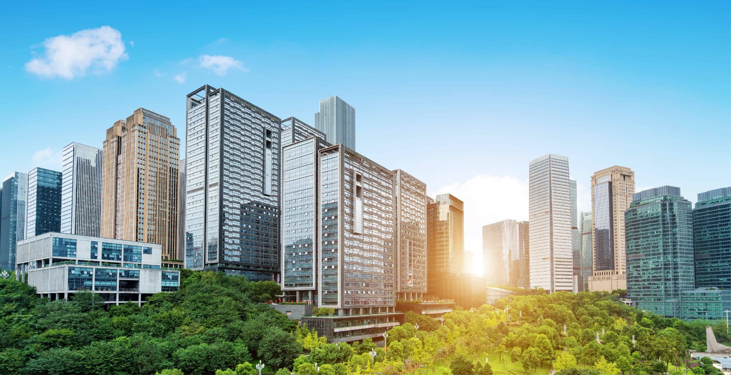 Impact of Urbanization on Real Estate Development