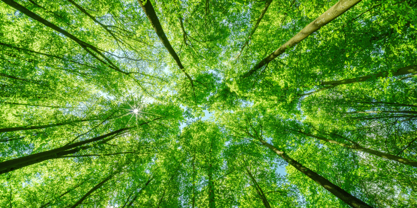 Sustainability Environment