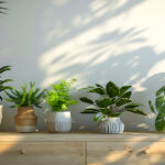 Vastu Plants for Home